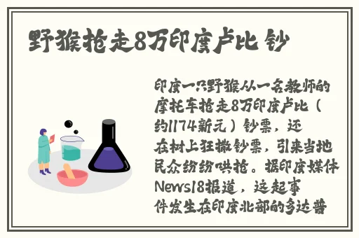 看片在线观看视频免费